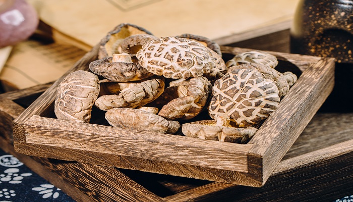 蘑菇的功效与作用 蘑菇图片